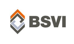BSVI - Bundesvereinigung der Straßenbau- und Verkehrsingenieure